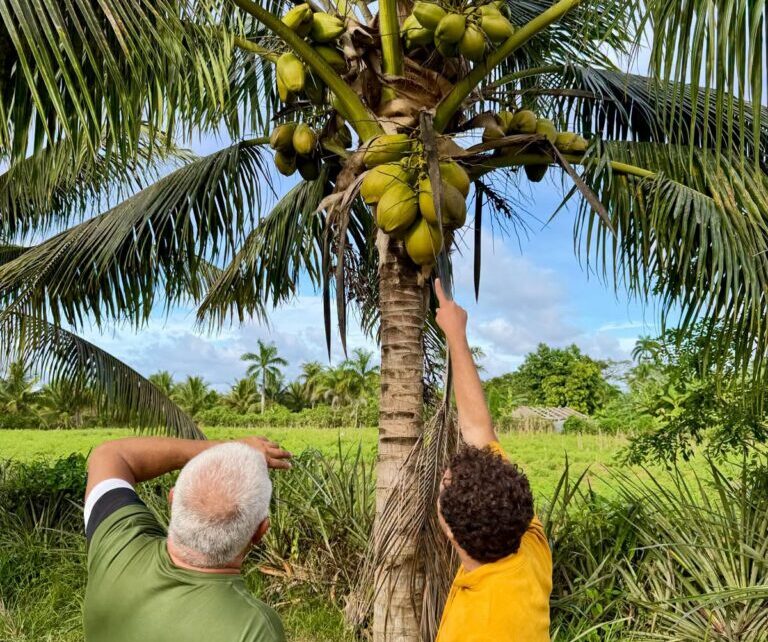La única extractora de aceite de coco de Cuba se suma a BioCubaCafé