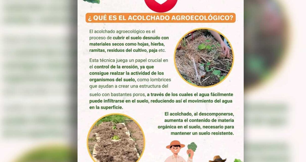 Atender a la conservación de los suelos