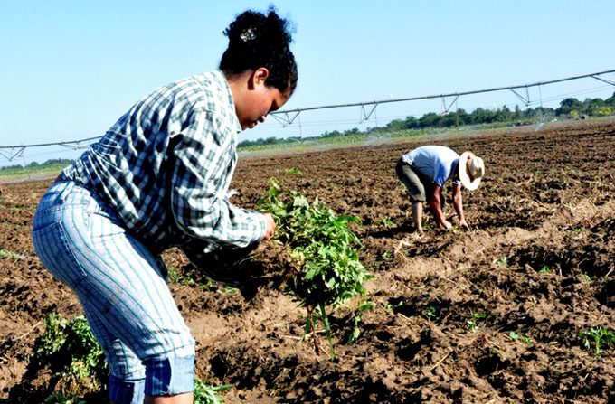 Reconocimiento para las mujeres rurales