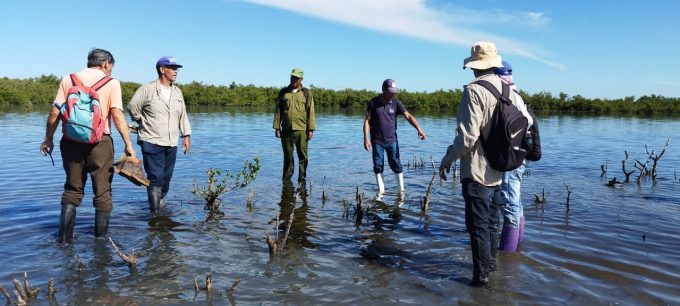 Raíces que protegen: mi costa frente al cambio climático