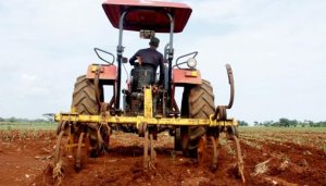 ¿Se puede recuperar la agricultura en Cuba? (+Video)