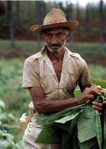 Cuba: ADN, Memoria e Identidad