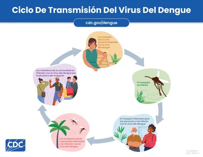 No seamos reservorio del Aedes aegypti