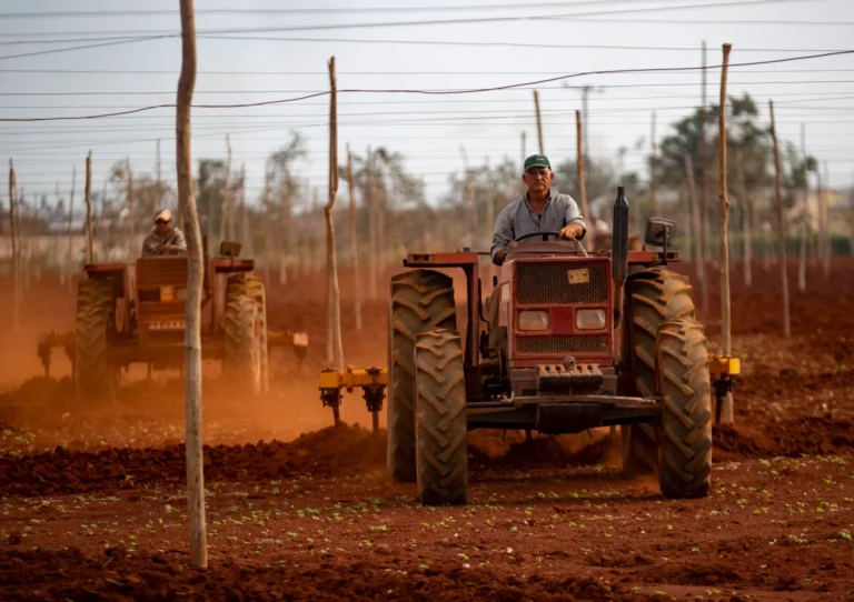 Sector estatal y privado: una alianza para impulsar la economía cubana – teleSUR
