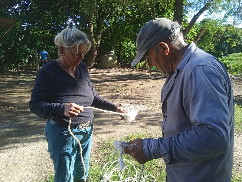 Artesanos de la ganadería
