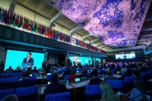 FAO insta a poner la innovación al servicio de las personas