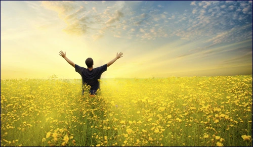 La felicidad, apreciar lo que tienes (+Video)
