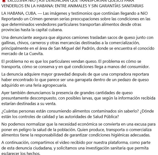 ¿Garrapata dentro de un queso? Denuncian falta de higiene en el transporte y venta de alimentos en La Habana