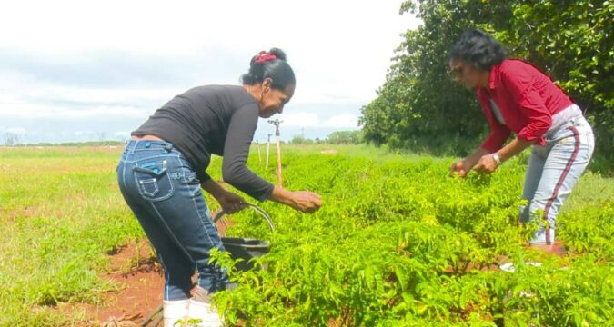 “Ellas También Producen” beneficia a escuela de Perico con donación de recursos