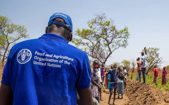 FAO por la innovación y la inversión ante el desafío del hambre